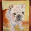 Bob's Bulldog