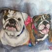 Bulldogs
