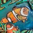 Clown Fish