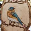 Blue Bird
