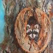 Raccoon in Tree